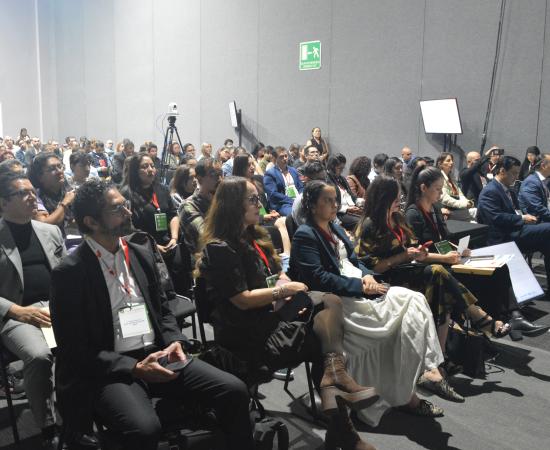 Las TIC en las IES 2025